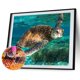 thumbnail image 2 of Wdftyju Kit 5D Cuadro de diamantes de imitación DIY Tortuga de natación Taladro redondo completo Pintura de diamante Wdftyju 6ah2nb3es5lp8jv5, 2 of 9