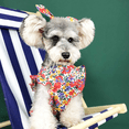 thumbnail image 4 of Dinheiro Vestido floral de 2 piezas para gatos y perros Vestido de primavera y verano con banda Vestido floral rojo y amarillo, 4 of 5
