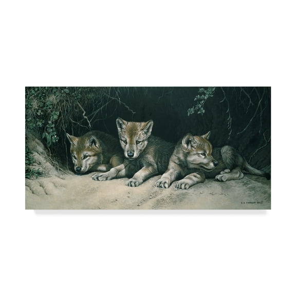Trademark Fine Art 'Three Little Wolves' Canvas Art by Ron Parker