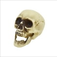 thumbnail image 3 of Mini Skull Decorations - 5 pieces, 3 of 5