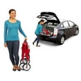 thumbnail image 4 of Radio Flyer 3-in-1 EZ Fold Wagon, 4 of 9