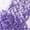 Purple, variant on Dalrosia Women's Fuzzy Socks for Women Slipper Socks-Cozy Fluffy Non-Slip Warm,for Halloween, Home, Hospital, Yoga