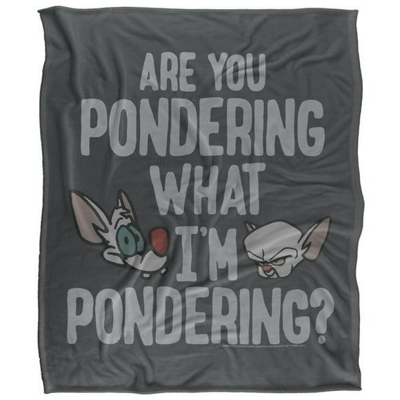 Pinky and The Brain Pondering Blanket