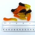 thumbnail image 5 of Beulah's Fall Mini Gummy Worms, 1 Pound Package, 100 Pieces of Candy, 5 of 7