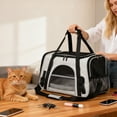 thumbnail image 4 of Soft-Sided Cat/Dog/Pet Carrier,Collapsible Pets Travel Carriers for Big Cats/Small Dogs with Shoulder Strap & Removable Mat,Mesh Puppy Carry Bag,Up to 16 Lbs(10"×11"×17",Gray), 4 of 6