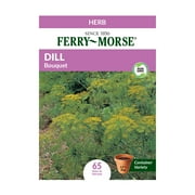 Ferry-Morse 20MG Rudbeckia Indian Summer Perennial Flower Seeds Packet