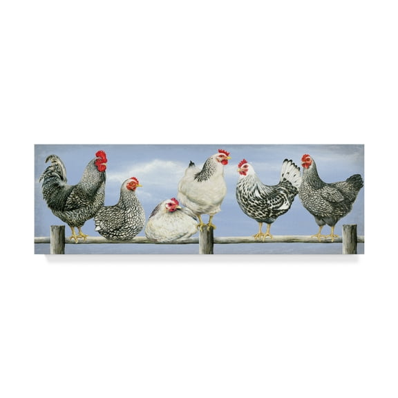 Trademark Fine Art 'Black And White Hens' Canvas Art by Janet Pidoux