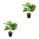 thumbnail image 1 of Planta de tortuga ecológica artificial Toystoory ABS bajo mantenimiento JH5477 2Conjunto, 1 of 6