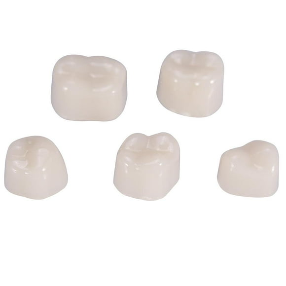 50 unids/Caja Coronas dentales temporales para Dientes de Porcelana, Dientes dentales Cuidado bucal Realista Temporal Corona Molar Anterior(Muelas) Ecomeon no