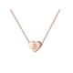 thumbnail image 1 of 26 Initial Heart Shape Alphabet Collar para Mujeres Collares de Acero Inoxidable para Mujeres A Z 26 Alphabet Initial Collares de Oro Rosa para Mujeres Niñas, 1 of 5