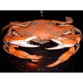 thumbnail image 2 of CafePress - Mug - 11 oz Ceramic Mug - Novelty Coffee Tea Cup, 2 of 4