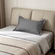 thumbnail image 1 of Funda de Almohada Refrescante para Personas Que Suelen Sudar Por La Noche: Funda de Almohada Transpirable de Terciopelo Suave de Tamaño Completo con Tejido Termorregulador, Alivia La Sudoración Noctu, 1 of 6