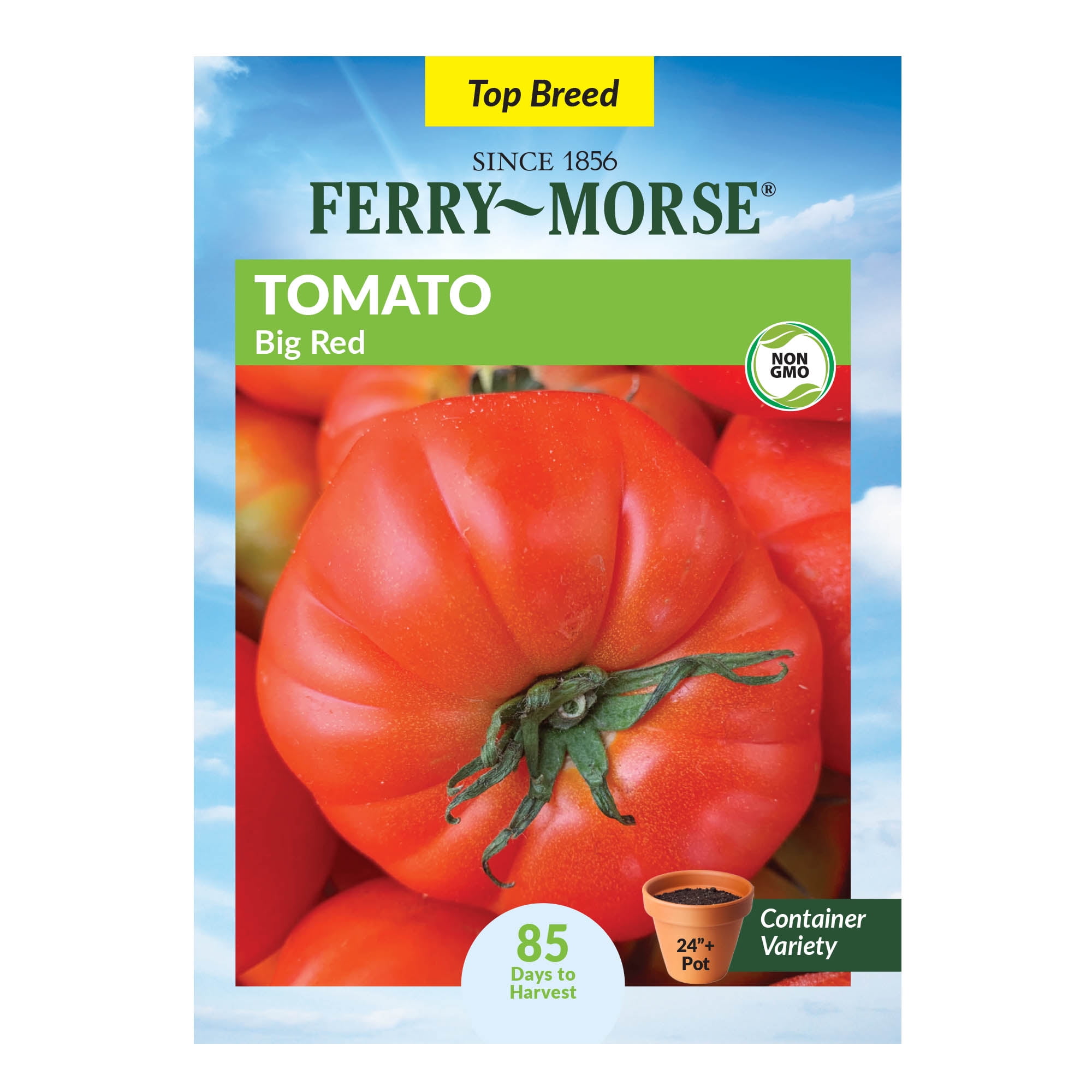 6509ac06-f890-4cfc-a130-