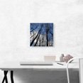 thumbnail image 2 of ARTCANVAS Forest Home Decor Square Canvas Art Print - Size: 12" x 12" (1.50" Deep), 2 of 9