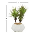 thumbnail image 3 of DecMode 11" Artificial Agave Plant in Realistic Leaves and White Ceramic Pot, 3 of 7