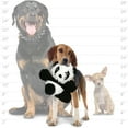 thumbnail image 5 of Mighty Microfiber Ball Panda Durable Plush Squeaky Dog Toy, 5 of 8