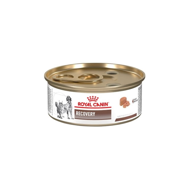 Alimento PARA Perro Royal Canin Recovery Lata 165 g