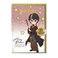 thumbnail image 3 of Harry Potter Carte d'Anniversaire & Badge, 3 of 3
