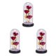 thumbnail image 3 of Bewildely Rose Flower In Light LED Valentine's Decor Day Type1 NO1, 3 of 6
