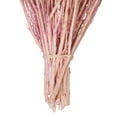 thumbnail image 4 of Vickerman 14-18" Coral Stoebe Bundle.  Comes 3.5 oz per bundle., 4 of 4