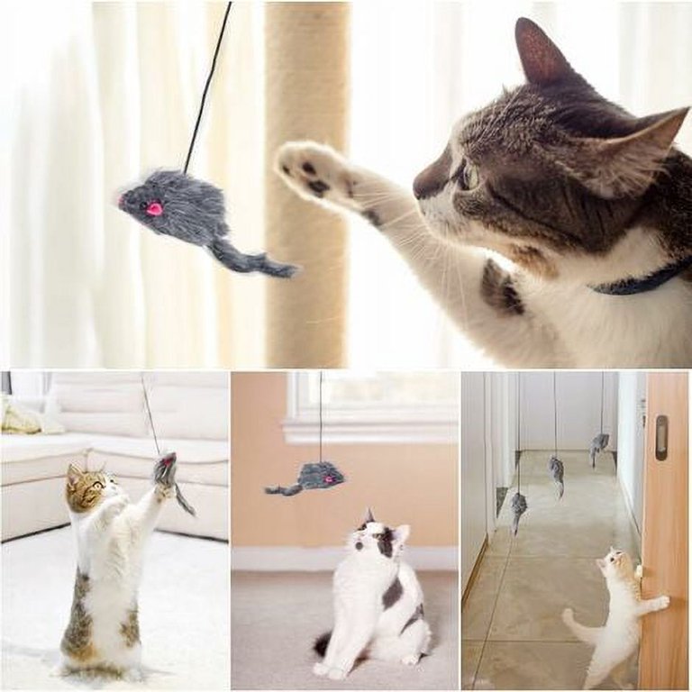 GingerUPer Gioco Gatto, Giocattoli Interattivo con Piume per Gatti, Giochi con Piume per Gatti con Campana, Gatto Giocattoli Interattivi Gioco per Gattino Kitten Indoor 6 Pezzi