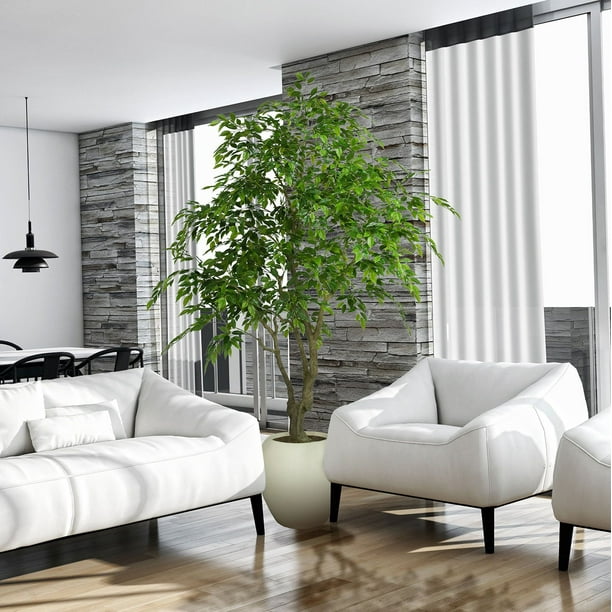 Faux 8' Deluxe Ficus Tree in Oversized Cream Pot - Samsclub.com