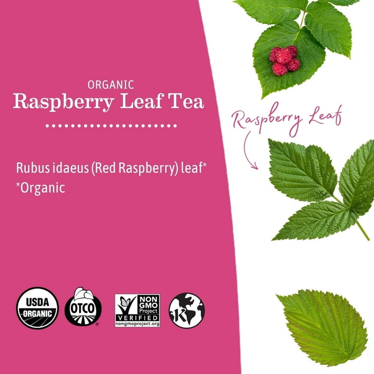 Earth Mama Organic Raspberry Leaf Tea, 16 Tea Bags