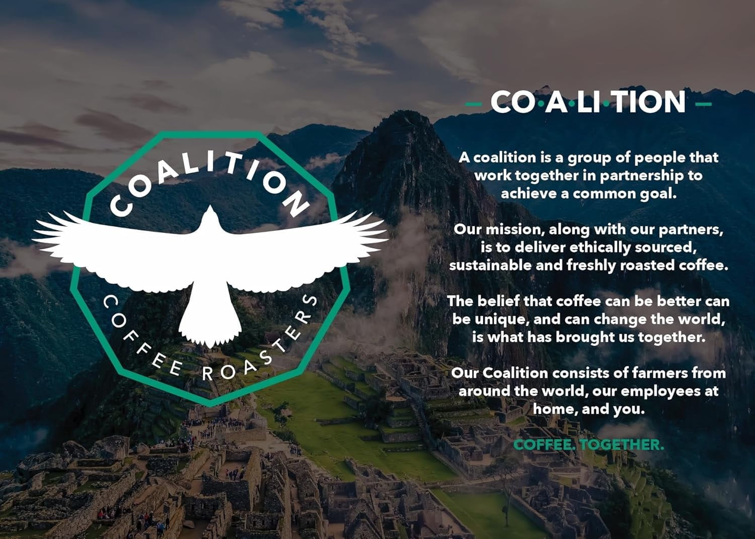 Coalition Coffee Roasters Swiss Water Decaf Whole Bean Coffee, Medium Roast, Cocoa, Walnut & Crisp Clean Finish, 12 oz – Mexican Single Origin