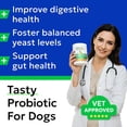 thumbnail image 3 of Bark&Spark Probiotic Chews for Dogs - Digestive Enzymes, Diarrhea & Gut Health Relief - Fiber & Prebiotic Supplement - Chicken (120 ct), 3 of 9