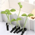 thumbnail image 4 of 5 Unids/set Novedad Lindo Bean Sprouts Clips De Pelo Para Niñas Diversión Niños Flores Horquilla Moda Unisex Headwear Adornos Para Elpangjing, 4 of 4