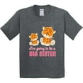 thumbnail image 3 of Inktastic I'm Going to Be a Big Sister Youth T-Shirt, 3 of 5