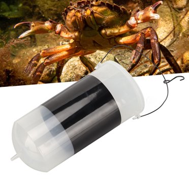 Brine Shrimp Hatchery Kit With Net – Cylindrical Incubator Set For Hatching Baby Brine Shrimp Eggs