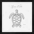 thumbnail image 1 of Underwater Life VIII by Daphne Brissonnet, Framed Wall Art, 13.25W x 13.25H, 1 of 1