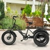 500 W Electric Adults Tricycle with 20" Fat Tire and Lithium Battery