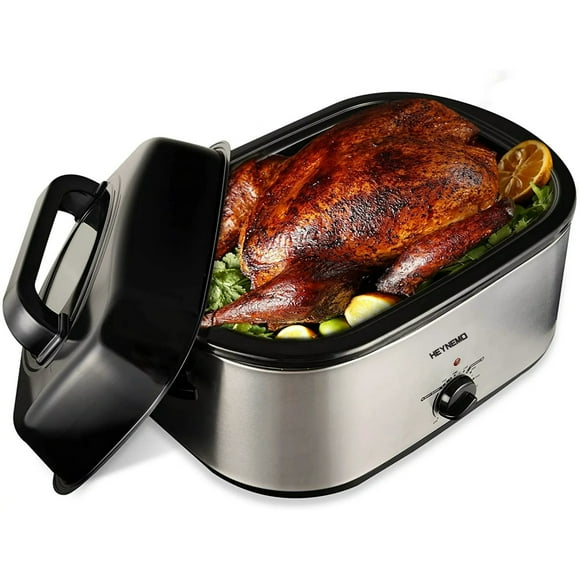 Electric Roaster