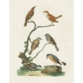 thumbnail image 2 of Vision Studio 26x32 Gold Ornate Wood Framed with Double Matting Museum Art Print Titled - Antique Birds in Nature IV, 2 of 4
