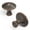 Bronze, variant on Belwith BWP2170 CH 1.25 in. Craftsman Cabinet Knob, Chrome