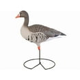thumbnail image 3 of GHG Pro-Grade Specklebelly Harvester Full Body Goose Decoy 6PK, 3 of 3