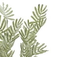 thumbnail image 2 of Hill Interiors Wattle Leaf Artificial Flower, 2 of 2