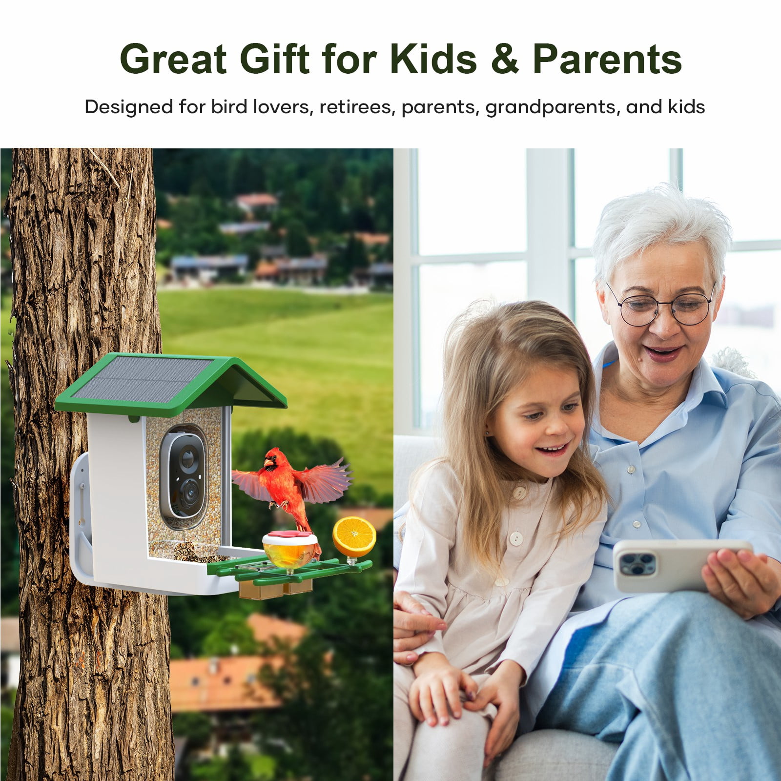 Smart Bird Feeder with Camera, Solar Powered Birdhouse Camera with AI Bird Recognition, Outdoor Wireless WiFi Bird Feeder with Live Video, Fun Gift for Mom, Grandma, Daughter