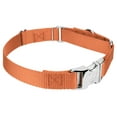 thumbnail image 5 of Country Brook Petz® Coral Heavyduty Nylon Martingale with Premium Buckle, Small, 5 of 6