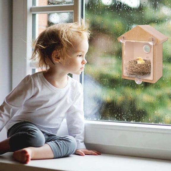 Window Birdhouse with Paint Kit | Strong Suction Cups & Hanging Loop | Wooden Bird House