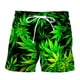 thumbnail image 2 of Bermudas deportivas informales con estampado 3D Natural para hombre, pantalones cortos hawaianos, secado rápido, ocio, Playa Fivean unisex, 2 of 2