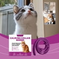 thumbnail image 6 of Calming Cat Collar for Anxiety Relief, Multi-Pet Friendly Support for Emotional Stability, Protective and Easy to Use, Promote Wellbeing for Your Cats, 6 of 9