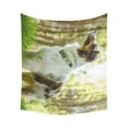thumbnail image 2 of ABPHQTO Tapiz de pared Perro Gracioso 128x150 cm, 2 of 2