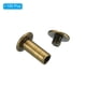 thumbnail image 3 of 100 Conjuntos de Tornillos Chicago, M5x12mm Tornillo de Poste de Sujeción Phillips con Recubrimiento de Latón para Cuero, Marrón, 3 of 7