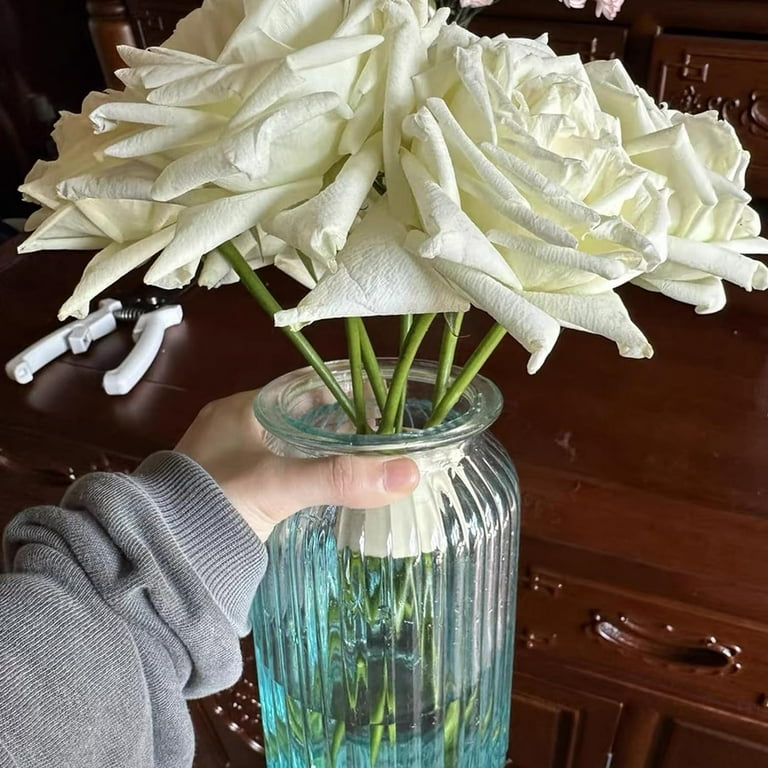 Hanataba Lot De 6 Supports De Tige De Fleurs En Spirale Pour