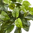 thumbnail image 3 of Nearly Natural Platic 16" Green Pothos Artificial Plant (Set of 6), 3 of 3