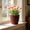 Coffee-CO, variant on MMJ Large Round Plastic Planter Faux Rattan Texture 7.20x6.89x3.93in Home Decor Pot Indoor Outdoor Green Plants Flowers Container