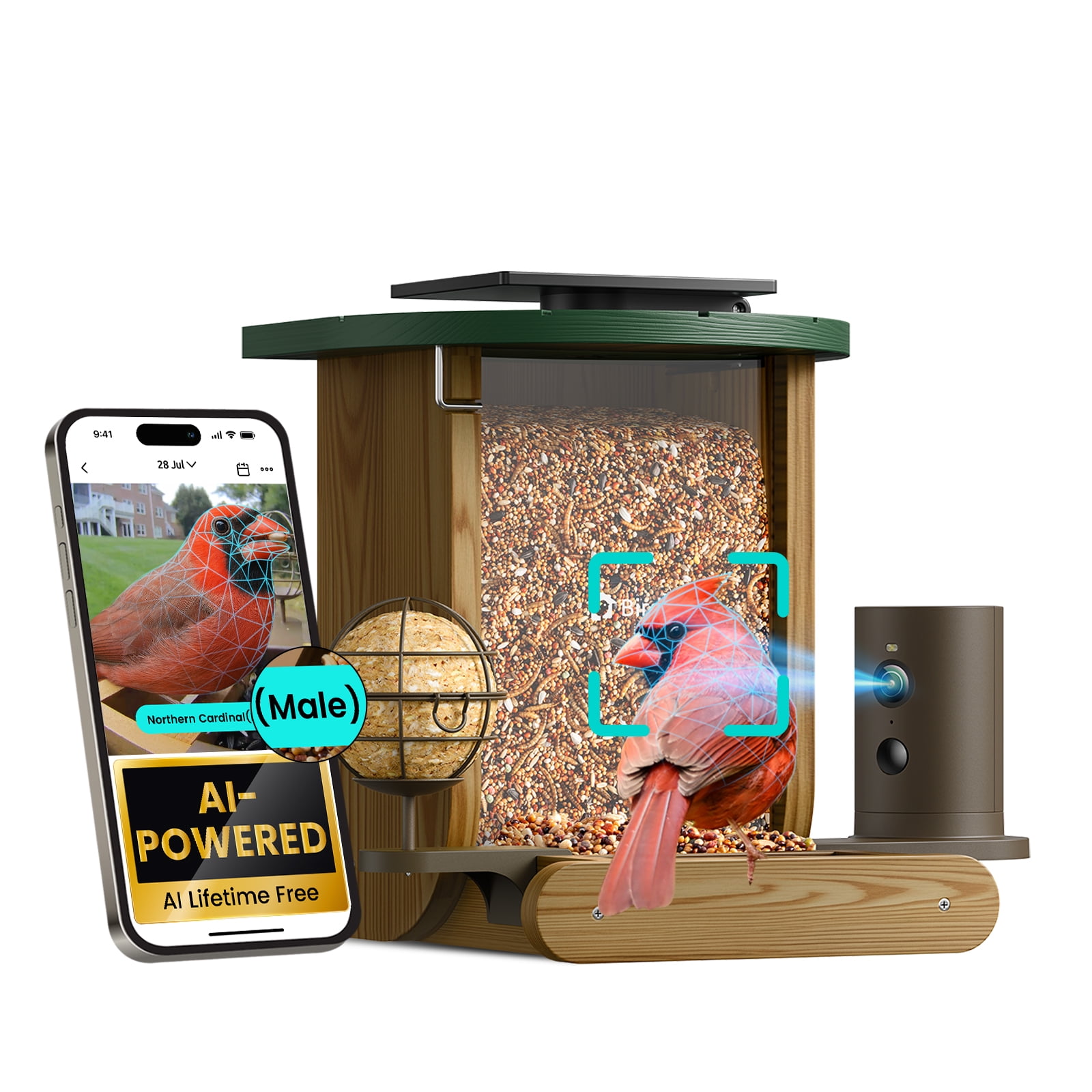 Birdfy Smart Bird Feeder with Camera, 1080P HD Bird Feeder Camera with AI Bird Identification, Solar Powered, Motion Detection & Real-Time Alerts, Suet Ball Holder for Outdoor Birdwatching